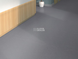 Tarkett iq Melodia 2604 фото 2 | FLOORDEALER